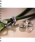 swarovski-jewel-2b.jpg (6987 Byte)